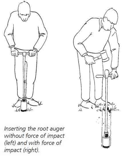 Root auger
