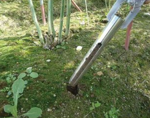 DIK-1650