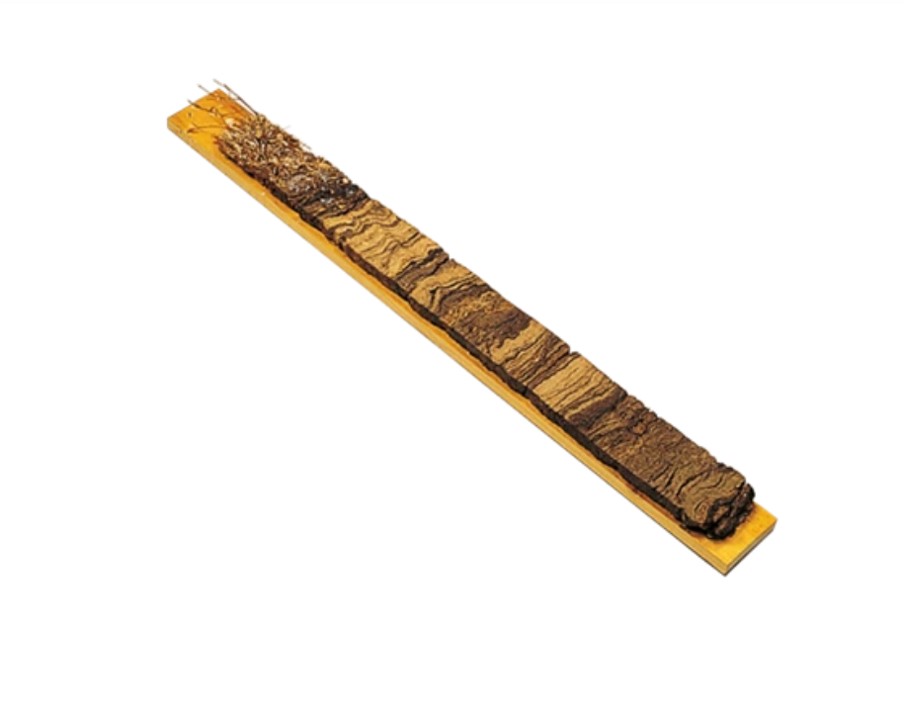 Peat sampler